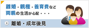 離婚・成年後見