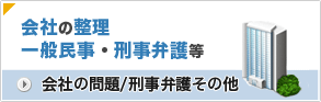 会社の問題/刑事弁護その他